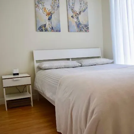 Tranquil 1 Bedroom Flat On River Dodder Dublin